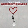 Where Did the Love Go (feat. Afrojack & Lyrica Anderson) - Single