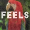 Feels (Originally Performed by Calvin Harris Feat. Pharrell Williams, Katy Perry & Big Sean ) [Karaoke Version] - Single