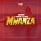 Mwanza (feat. Diamond Platnumz) cover