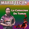 LA COLECCION DE TEMAS, 2018