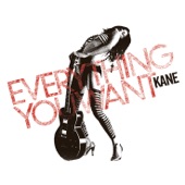 Everything You Want artwork
