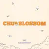 Chu and Blossom (Original Motion Picture Soundtrack) album lyrics, reviews, download