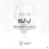 Wonderful King (feat. Reddy Ryter & Peace Dikio) - Single