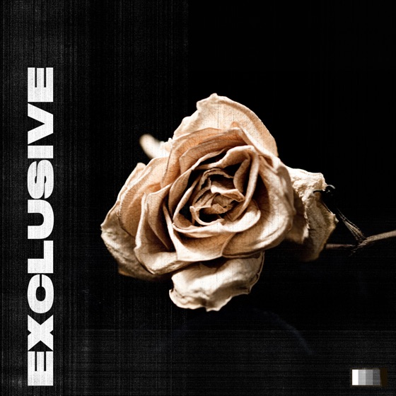 Cover artwork for Exclusive