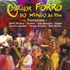 O melhor forró do mundo (Ao vivo), 2005