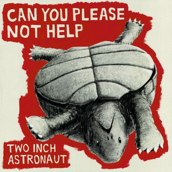 Cover artwork for Not Your Birthday