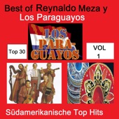 Top 30: Best Of Reynaldo Meza y Los Paraguayos - Südamerikanische Top Hits, Vol. 1 artwork