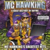 A Brief History of Rhyme: MC Hawking's Greatest Hits