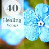 40 Healing Songs - Ambient Spa Music for Massage, Zen Flutes & Nature Sounds album lyrics, reviews, download