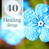 40 Healing Songs - Ambient Spa Music for Massage, Zen Flutes & Nature Sounds