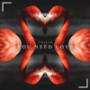 You Need Love (Extended Mix) - Single