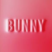 Bunny artwork