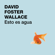 David Foster Wallace - Esto es agua