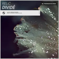 Dividé - Single - Relic Dividé - Single - Relic