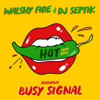 Busy Signal, Walshy Fire & Dj Septik - Hot (Bam Bam) artwork