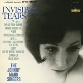 Invisible Tears artwork