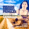 Mi Querido Coronel Pringles (Acústico) - Single