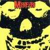 Skulls by The Misfits