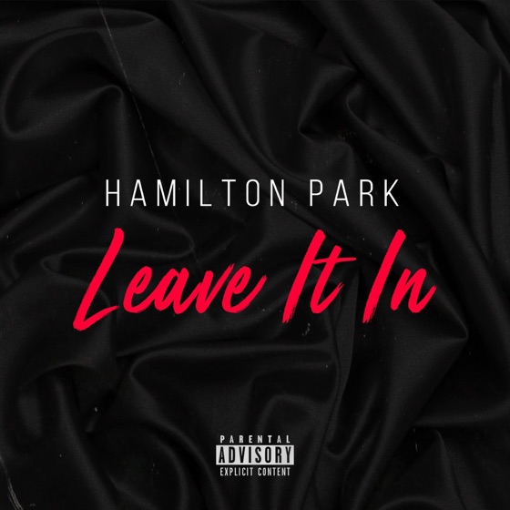 Cover artwork for Leave It In