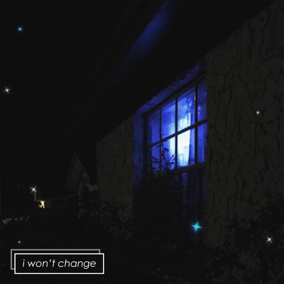 Cover artwork for I Won't Change