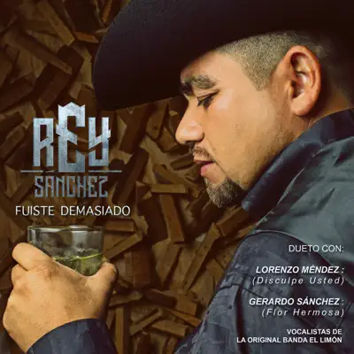 Fuiste Demasiado - Rey Sanchez Fuiste Demasiado - Rey Sanchez