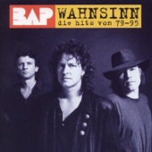 Wahnsinn - Die Hits von '79 bis '95 artwork