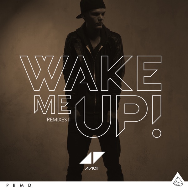 Avicii - Wake Me Up