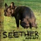 Country Song - Seether lyrics