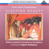Sleeping Beauty, Op. 66, Act III, Scene 5c: Variation de l'oiseau bleu la Princesse Florine artwork