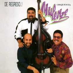 Orquesta Mulenze - No Puedo Evitarlo