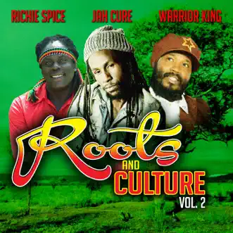 Roots & Culture, Vol. 2 by Richie Spice, Jah Cure & Warrior King album reviews, ratings, credits