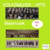 Volksmusik-Hits: Blasmusik, Vol. 10