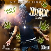 Numb (Skunk) artwork