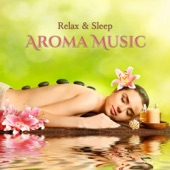 Relax & Sleep Aroma Music -Alpha Wave Music for a Relaxing Sleep- artwork