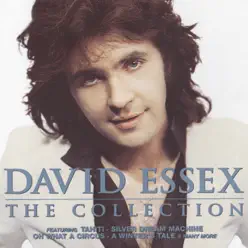 The Collection - David Essex