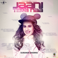 Sunanda Sharma - Jaani Tera Naa artwork