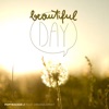 Beautiful Day (feat. Virginia Ernst) - Single, 2016