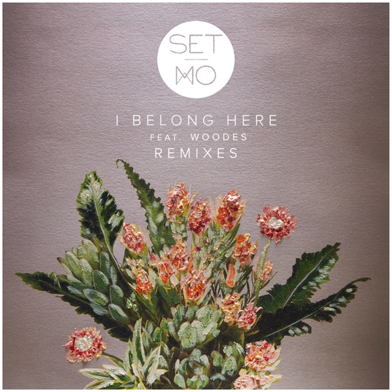 Cover artwork for I Belong Here (feat. Woodes) [KC Lights Remix]