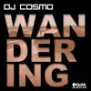 Stream & download Wandering (Classic Club Mix) - Single