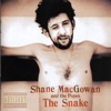 The Snake, 1994