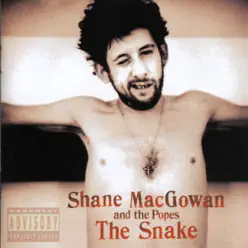 The Snake - Shane Macgowan and The Popes