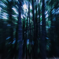 Paso Viejo - Paso viejo