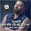 Sjajiš (feat. Iva Ćurić) - Single