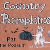 Pat the Possum