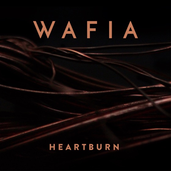 Cover artwork for Heartburn