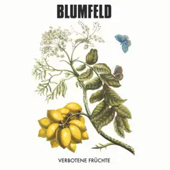 Verbotene Früchte - Blumfeld