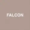 Falcon (feat. Raury) - Single album lyrics, reviews, download