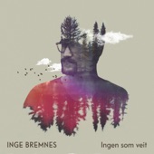 Ingen Som Veit artwork