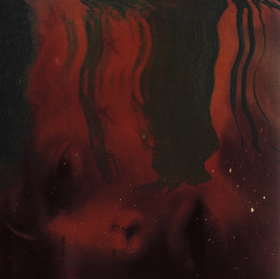 Cover artwork for Cephalotus