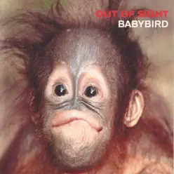 Out of Sight - Single - Babybird